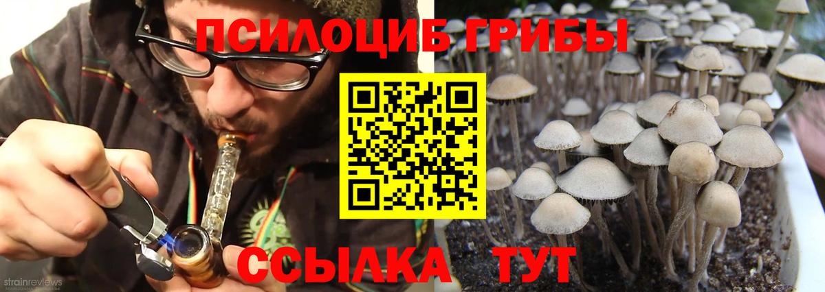 Псилоцибиновые грибы MAGIC MUSHROOMS Лабытнанги